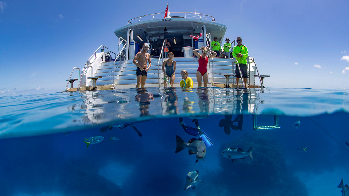 Epic Ways To Experience The Best Of The Great Barrier Reef