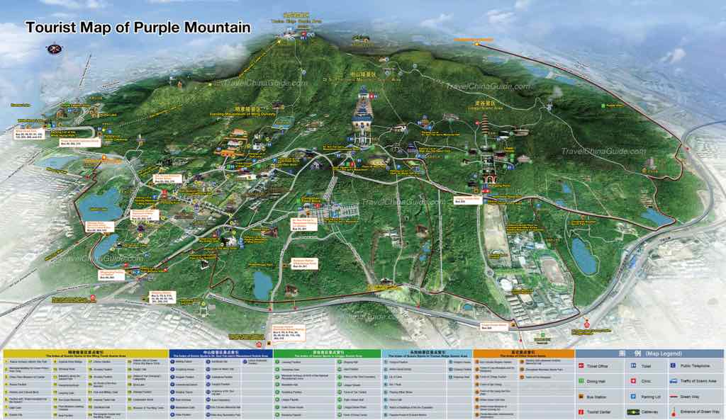 The Travel Intern – The Purple Mountain in Zhongshan Mountain National Park