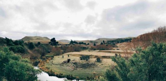 WWOOFing in new zealand