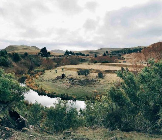 WWOOFing in new zealand