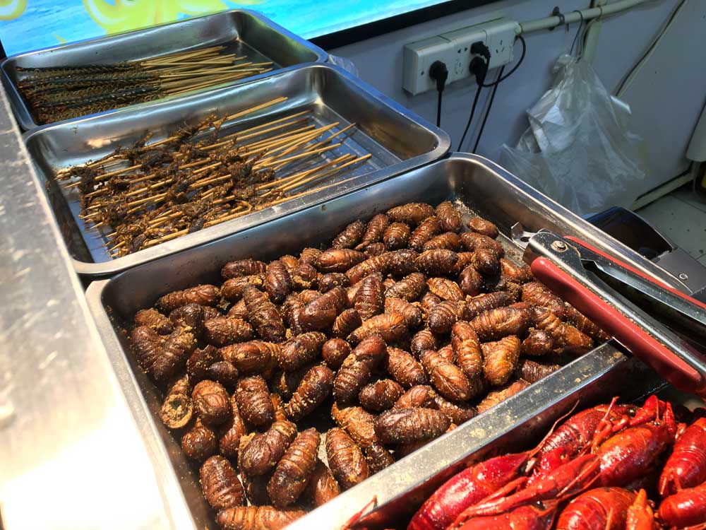 The Travel Intern – Insect snacks at Hangzhou