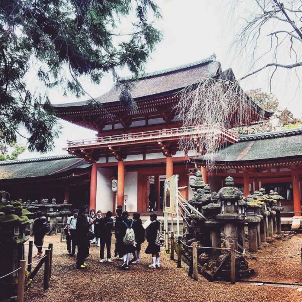 Things to do in Nara - Kasuga Taisha Temple