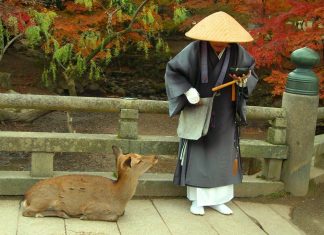 Things-to-do-in-Nara - Cover