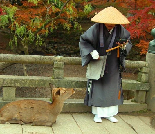 Things-to-do-in-Nara - Cover