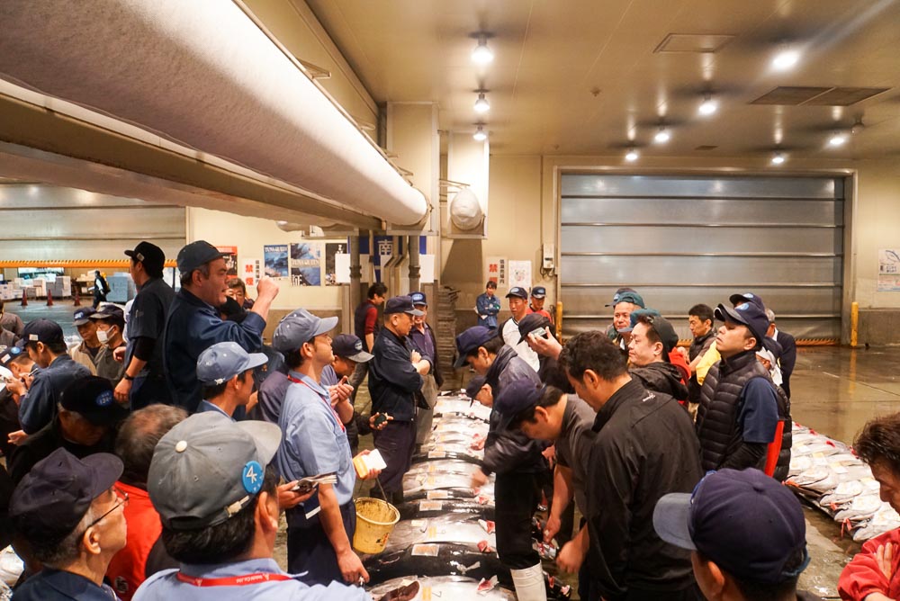 Fishermen gathered around tunas at the Osaka Central Market for Tuna Auctioning - Osaka budget