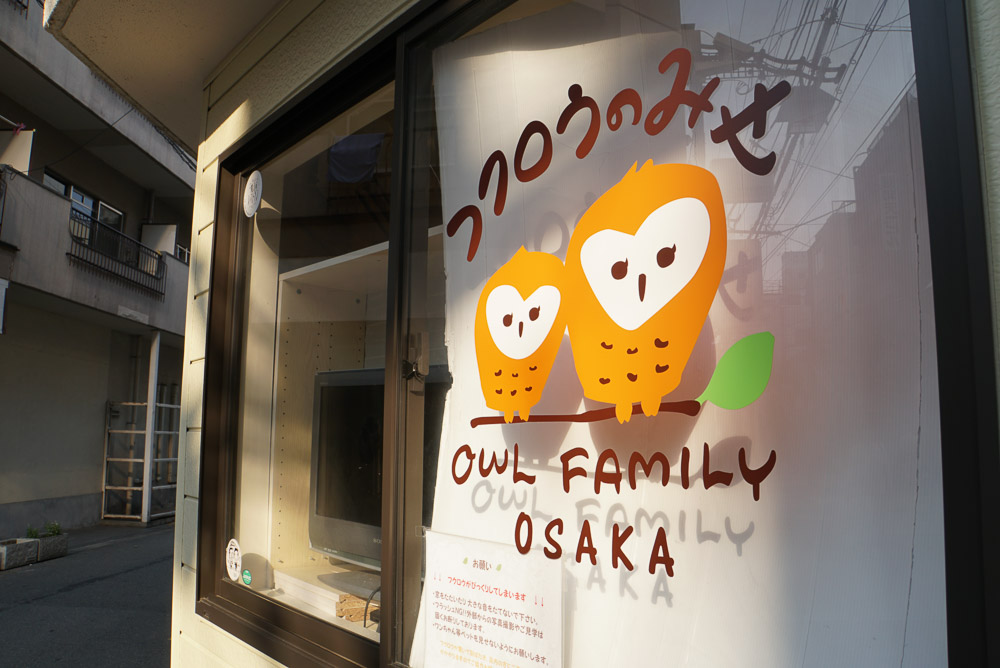 Owl Family Cafe - Osaka Budget Guide