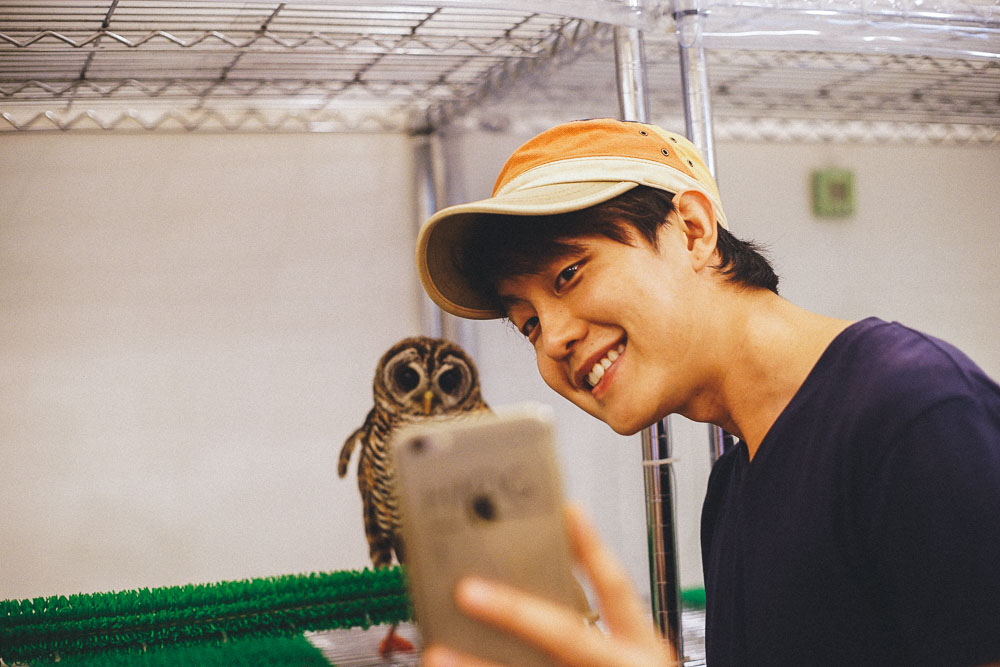 Hendric taking a selfie with an owl in the Owl Family Cafe Osaka