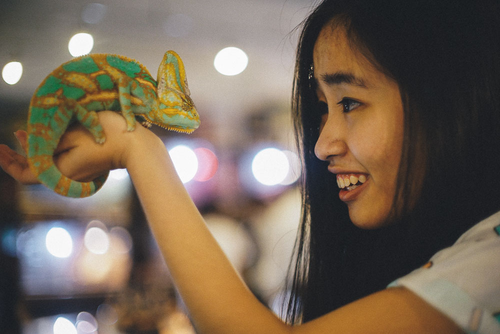 Ding Yi holding a chameleon at Rockstar Cafe - Reptile Cafe Osaka