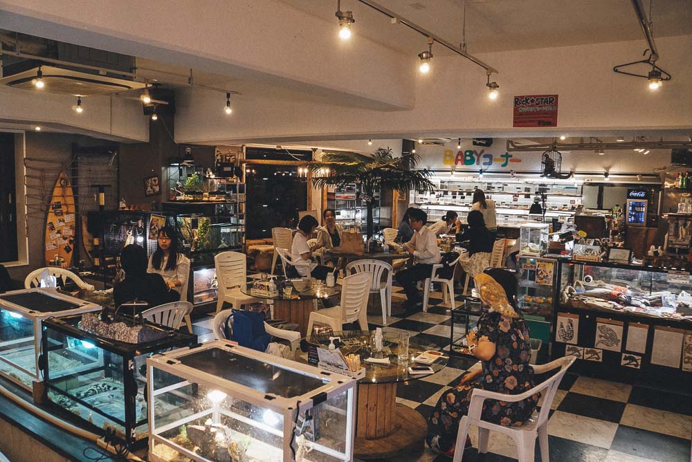 Reptile Cafe Osaka - Rockstar Cafe