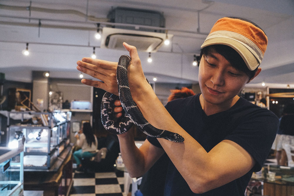 Hendric holding a snake at Rockstar Cafe - Reptile Cafe Osaka