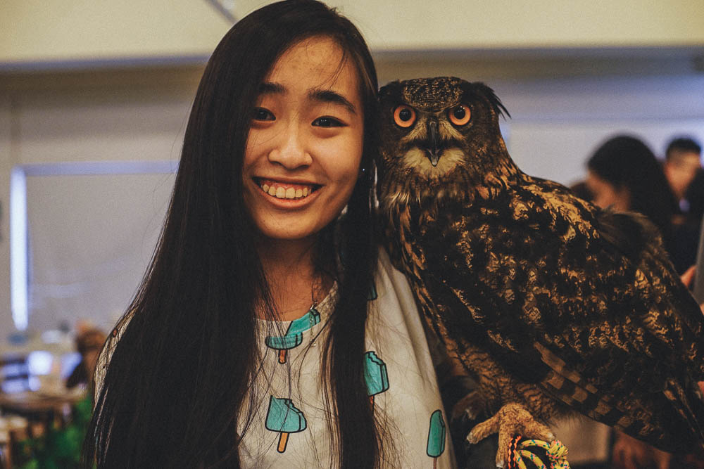 Ding Yi holding an owl at the Owl Cafe Osaka