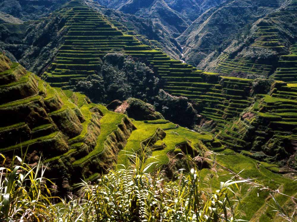 Banaue rice terraces - Reasons why the Philippines is incredibly underrated Underrated places in the philippines