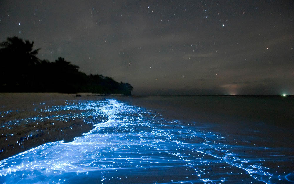 Bioluminescent Plankton - Boracay overrated