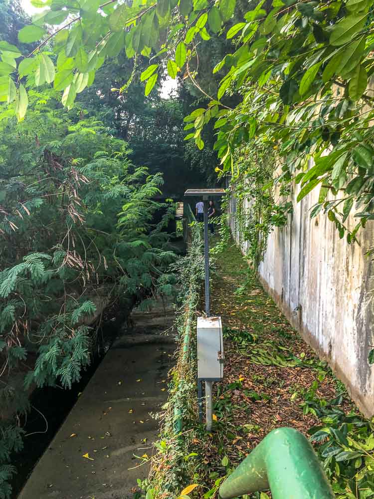 Foliage path - Geocaching in Singapore