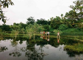 11 Secret spots in Singapore we discovered via Geocaching Tampines Quarry - Geocaching secret spots