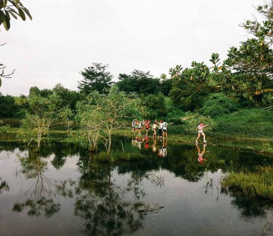 Tampines Quarry - Geocaching secret spots