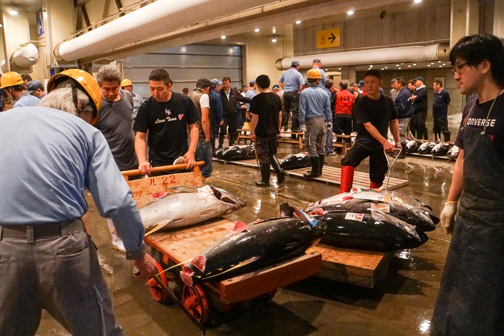 men towing newly bought tuna out of the auction room