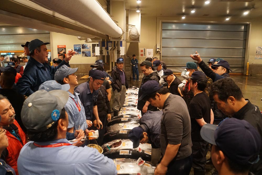 Tuna auction taking place in the Osaka Central Fish Market-9