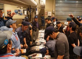 Osaka Central Fish Market: The New Tsukiji Experience? Interested buyers - Osaka Central Fish Market