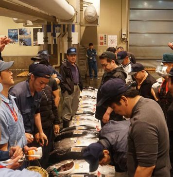 Interested buyers - Osaka Central Fish Market