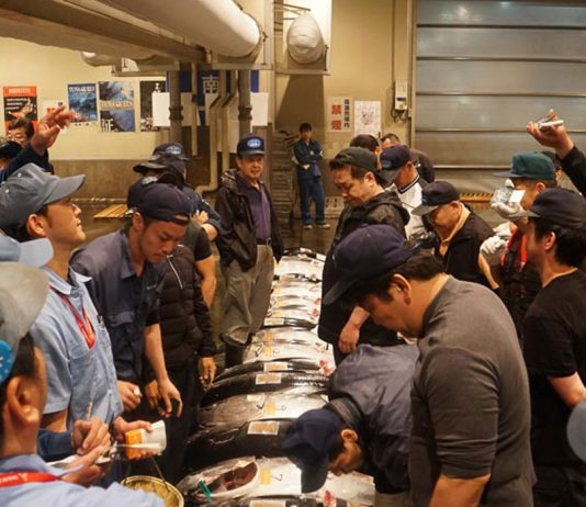 Osaka Central Fish Market: The New Tsukiji Experience? Interested buyers - Osaka Central Fish Market