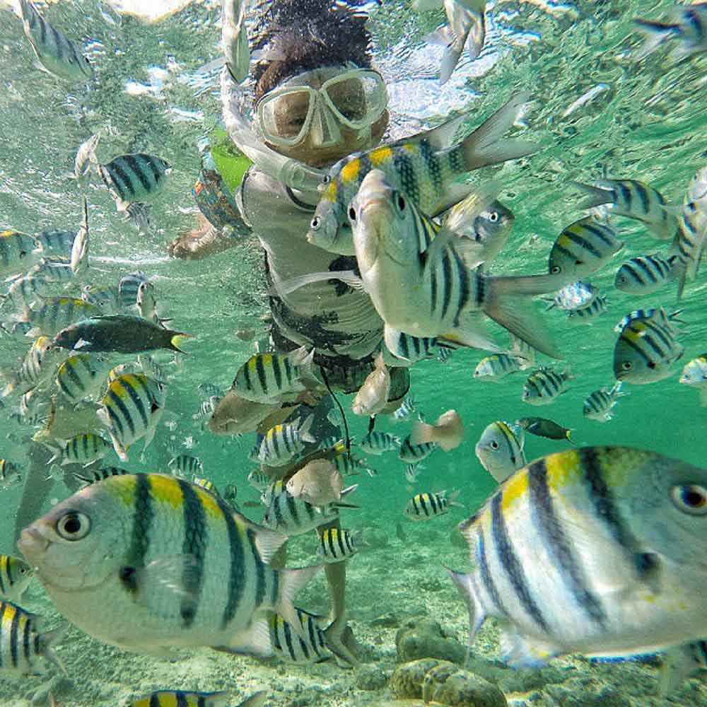 Snorkeling at Nalusuan Island - Underrated places in the philippines