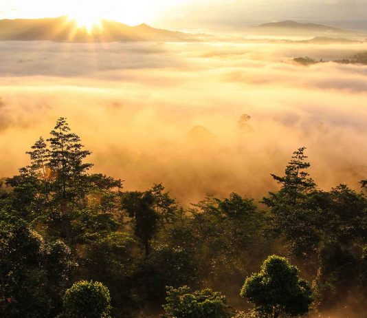Sunset in Borneo