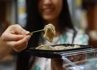 kyoto food