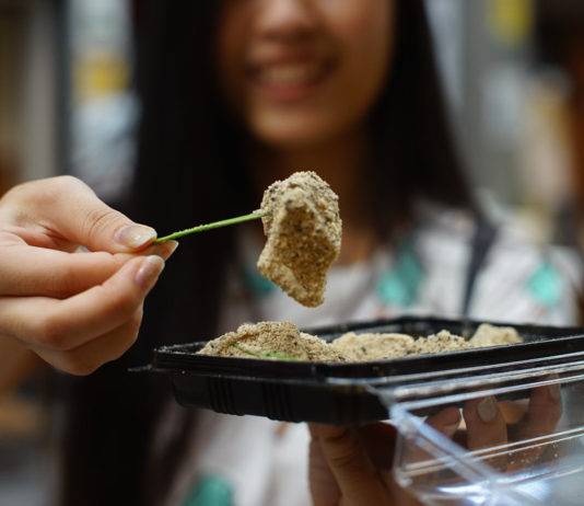 kyoto food