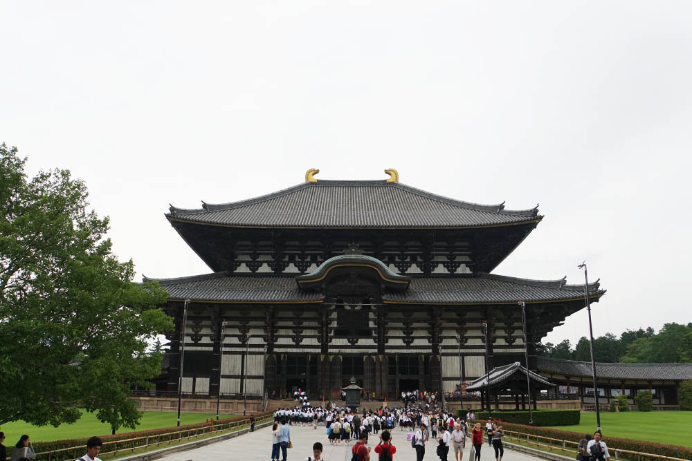 todaiji temple - nara budget guide