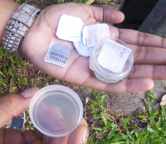 8 things we learnt during geocaching