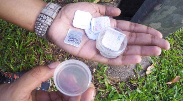 8 things we learnt during geocaching