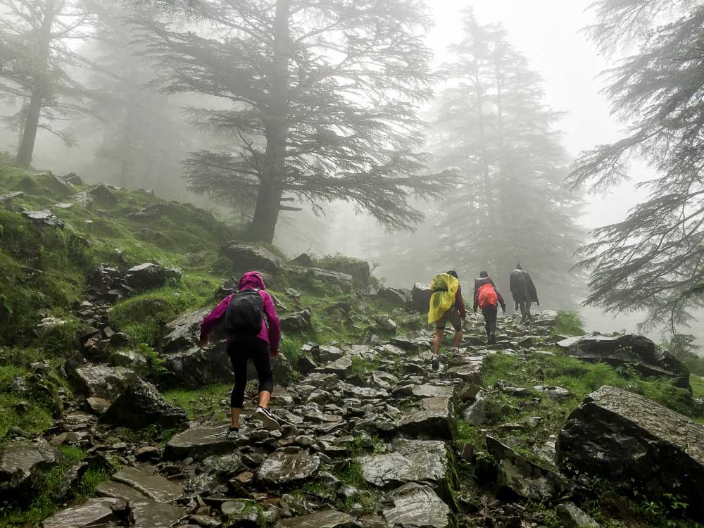 Dharamshala (McLeod Ganj) - Climbing up triund hill