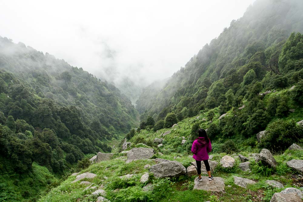 Gorgeous view while trekking on Triund - Dharamshala (McLeod Ganj)-8