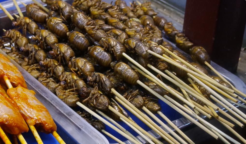 foods you must eat in kaifeng night market henan cicada skewers