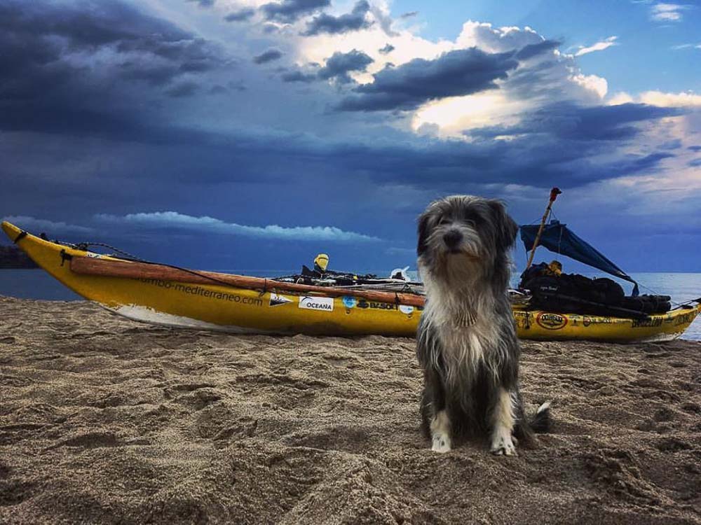 pets that travel more than you kayaking dog