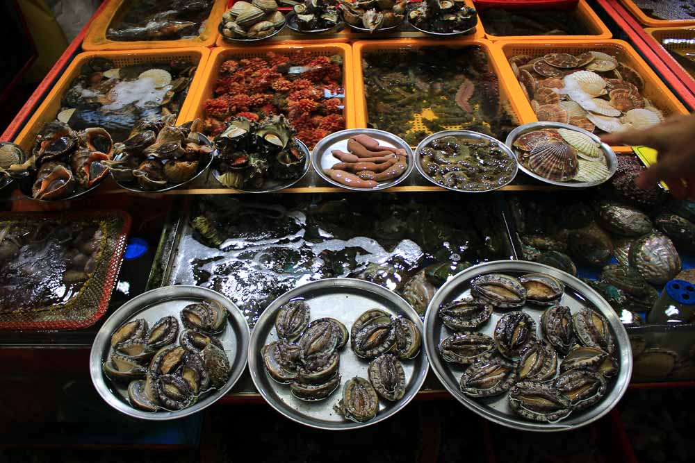 Jalgachi market live seafood - Busan-8