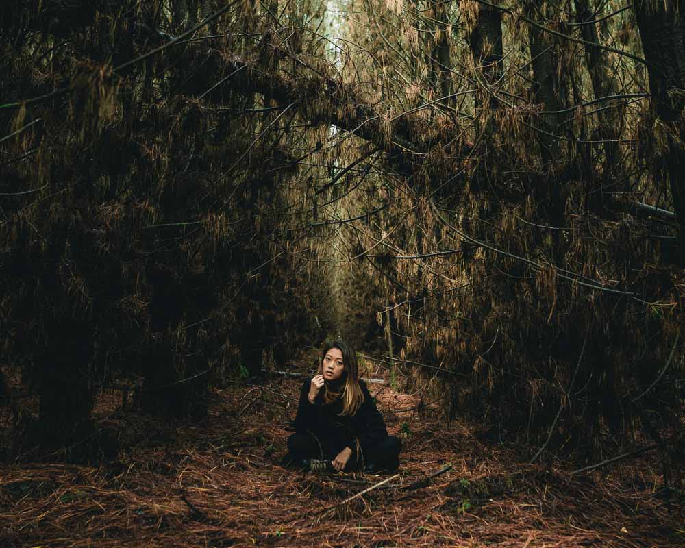 Rachel in pine forest - Melbourne roadtrip