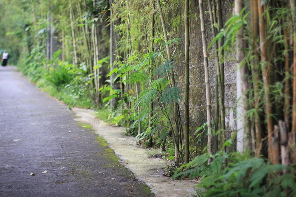 bamboo-outside-ullen-sentalu-cultural-activities-in-Yogyakarta-18