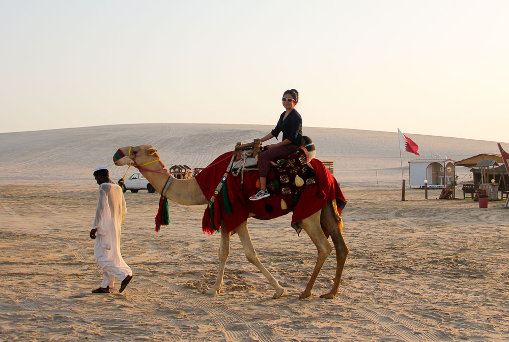 qatar-sand-dunes-camels-of-sealine-desert- clara lock