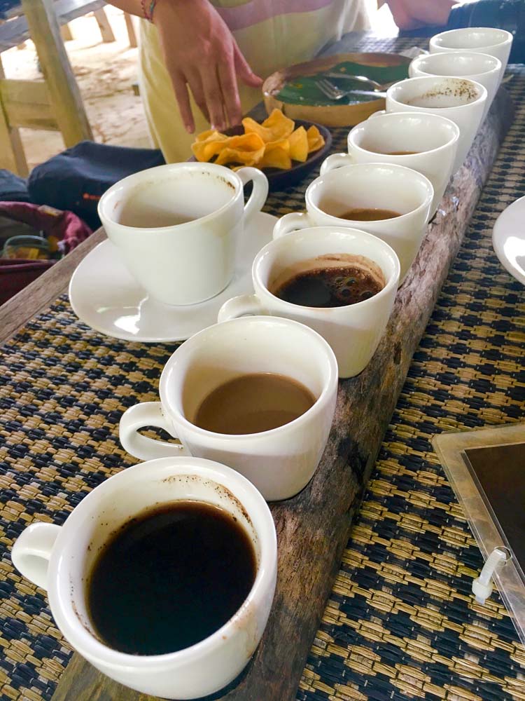 coffee-tasting-bali-pulina-places-to-visit-in-bali-3