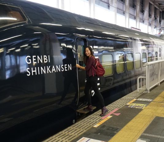 jr-east-pass - Niigata and Nagano