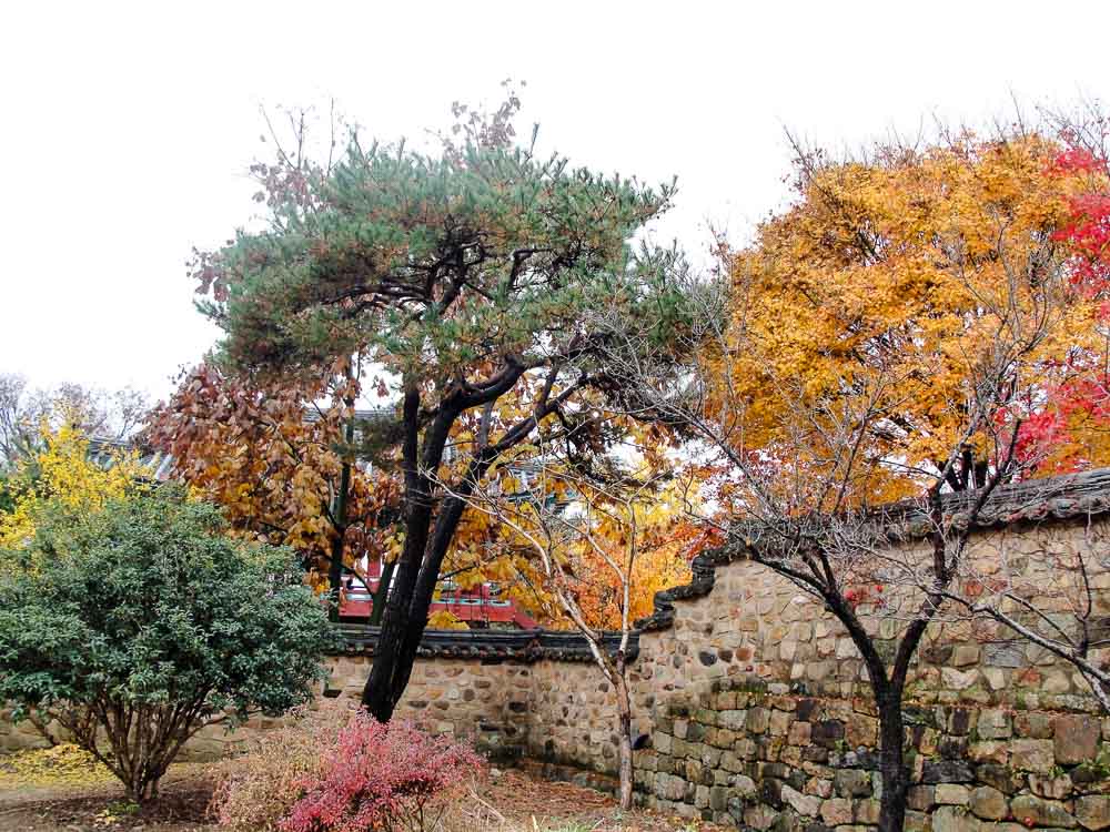 naganeupseong-folk-village-trees-charming-places-in-korea