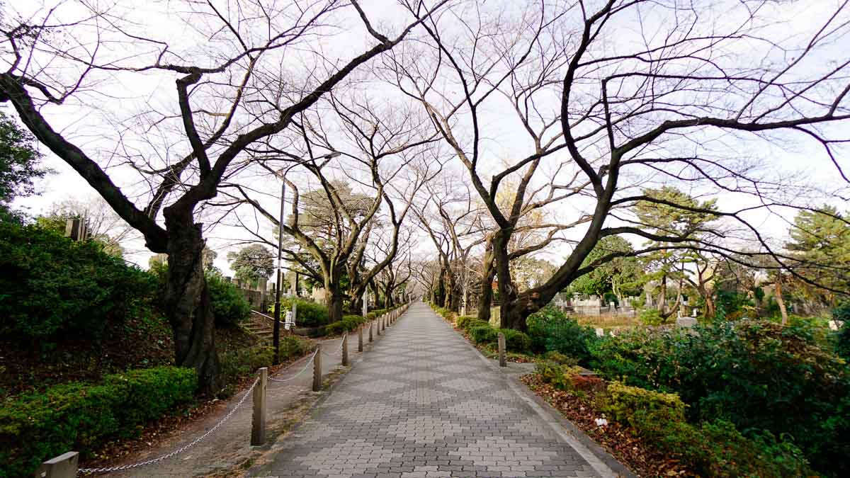 Aoyama Cemetery - quirky-tokyo-guide