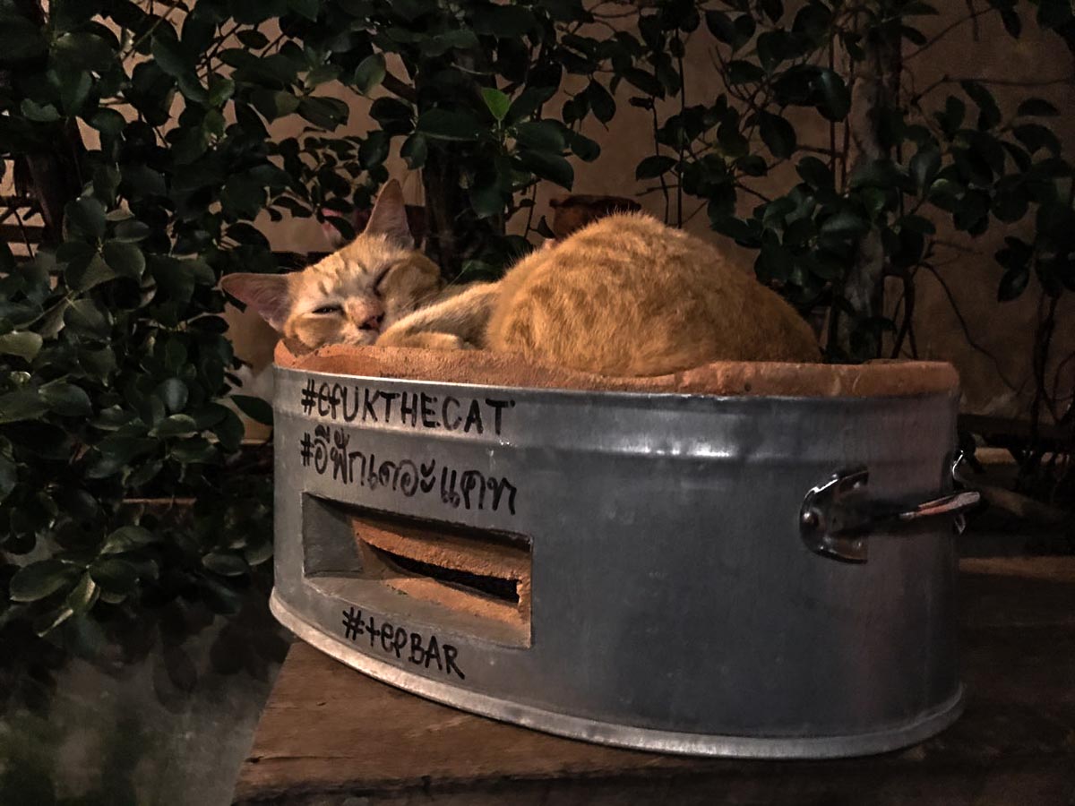 Efukthecat tep bar - Bangkok City Guide