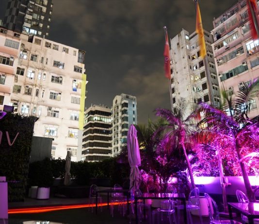 Sonic Garden in Hotel-Sav