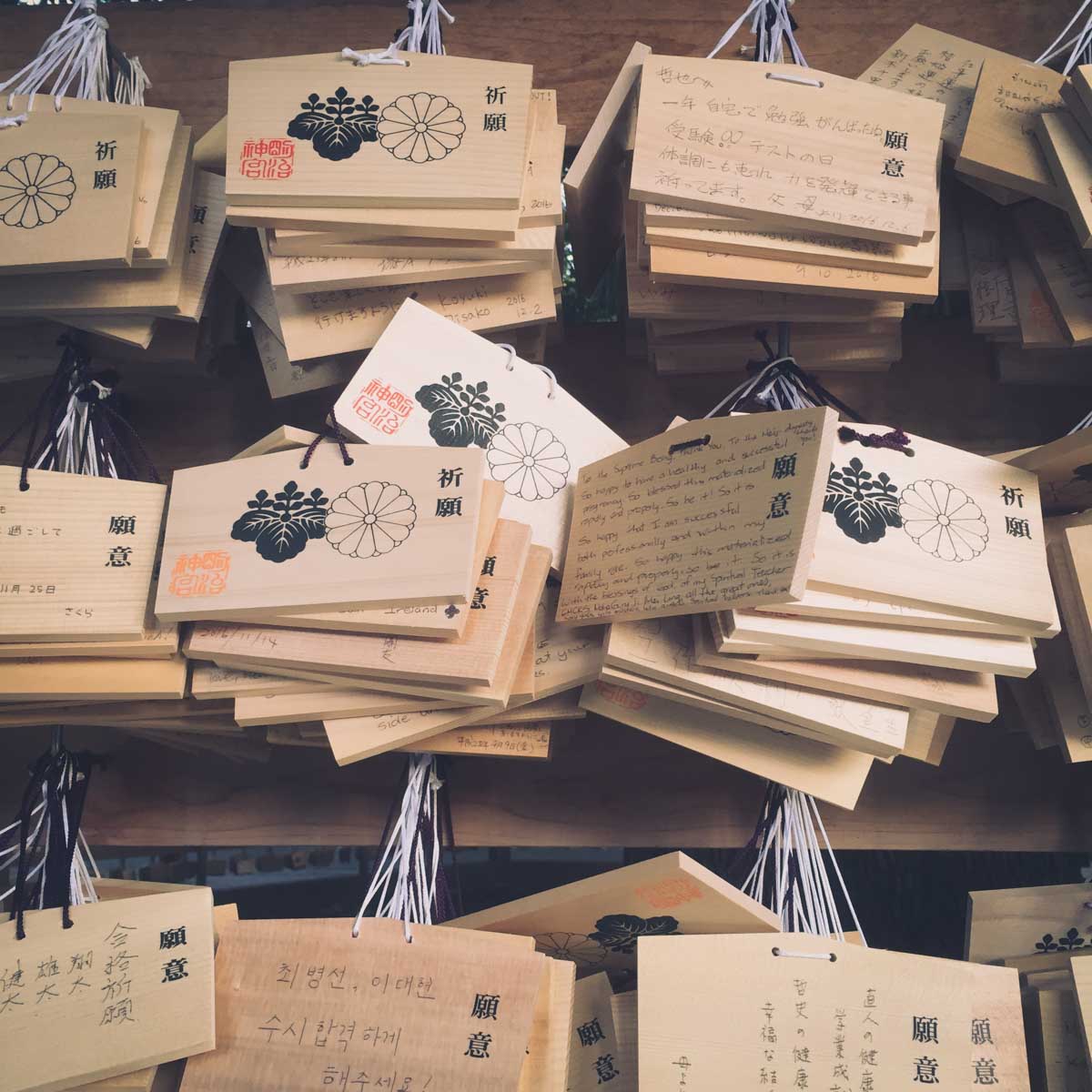 Emas at Meiji Shrine - love in tokyo 17