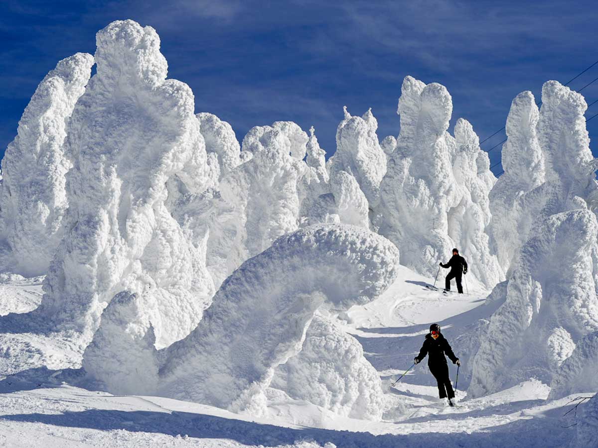 Mount Zao snow monsters - yamagata