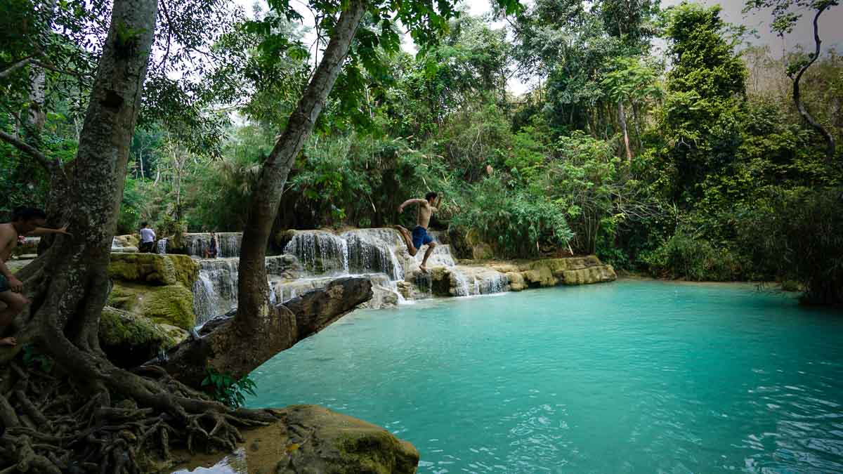 Jumping into the pool of Kuang si waterfall - Luang Prabang itinerary