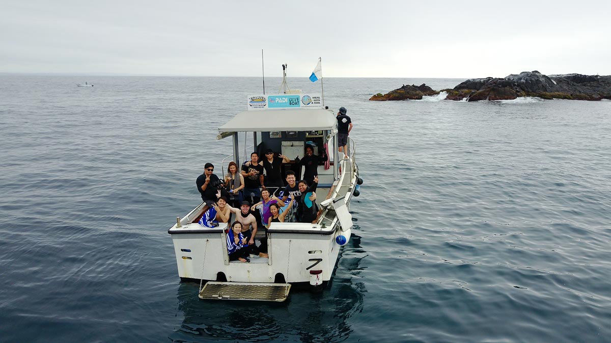 Boat to Montague Island - NSW Bucket List Experience